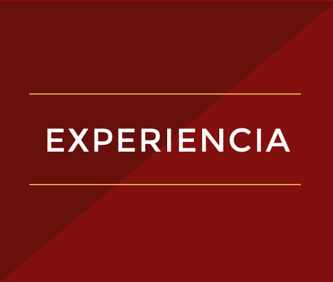 Experiencia